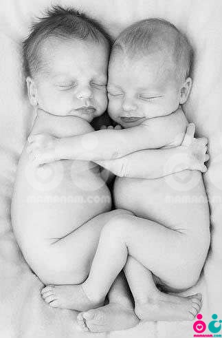 Twin-Babies-dogoloo.jpg