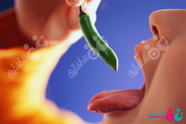 elfel-bardari2.jpg