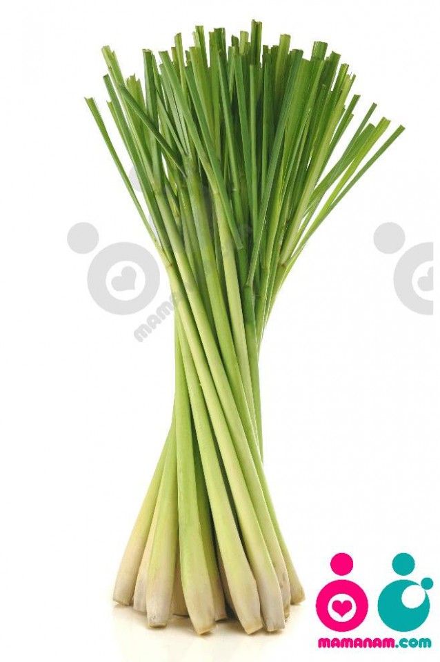 sonbol-hendi2.jpg