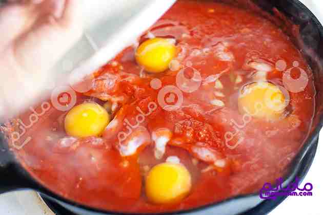 omlet12.jpg
