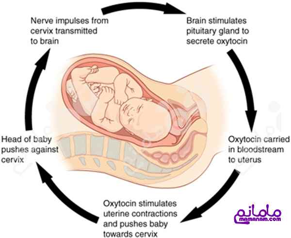 zayman-tabiy-x2_20151023-074247_1.jpg
