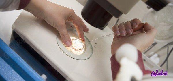 IVF10.jpg IVF10.jpg