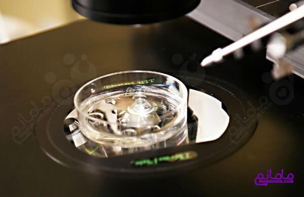 IVF11.jpg