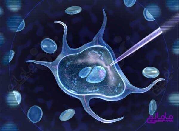 عوامل موثر در موفقیت IVF یا لقاح آزمایشگاهی
