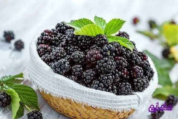 آیا خوردن تمشک در دوران بارداری مضر است؟