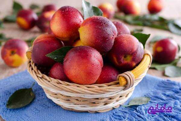 چرا باید حتما در دوران بارداری شلیل بخورید؟