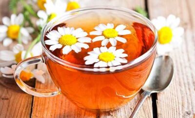 عوارض خوردن چای بابونه در دوران بارداری
