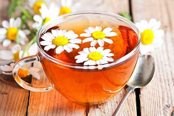 عوارض خوردن چای بابونه در دوران بارداری