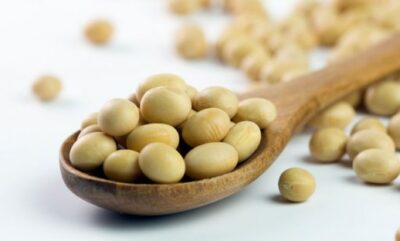 آیا ایزوفلاون سویا به ناباروری زنان کمک می کند؟