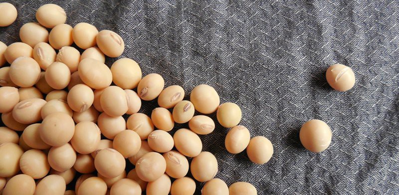b2ap3 large soya isoflavones menopause symptoms health benefits cover 1533047271 90177