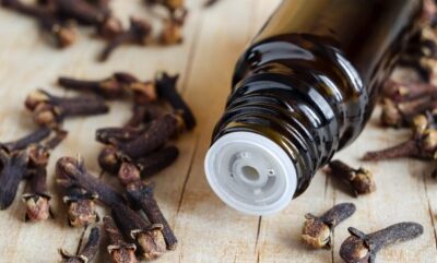 آیا استفاده از روغن میخک در بارداری ضرر دارد؟