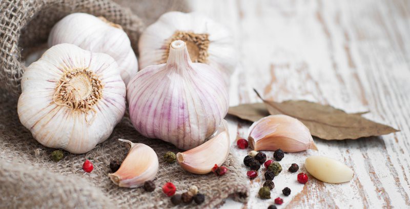 b2ap3 large garlic festival bg 1534758624 43177
