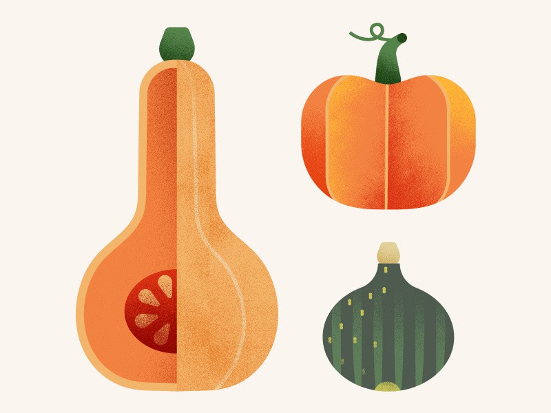 b2ap3 large pumpkin dribbble