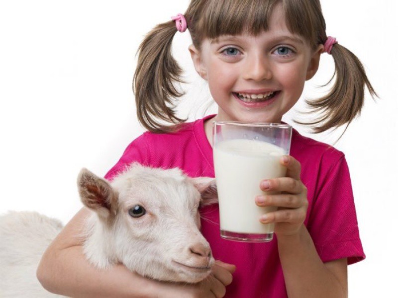 b2ap3 large goatmilk1 1535785808 63898