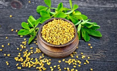 آیا دانه شنبلیله برای افزایش شیر مادران مؤثر است؟