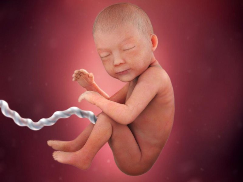b2ap3 large rsz pregnancy week 30 amniotic