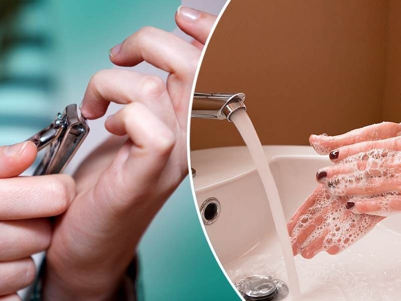 b2ap3 large good hygiene