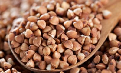 فواید مصرف گندم سیاه برای کودکان