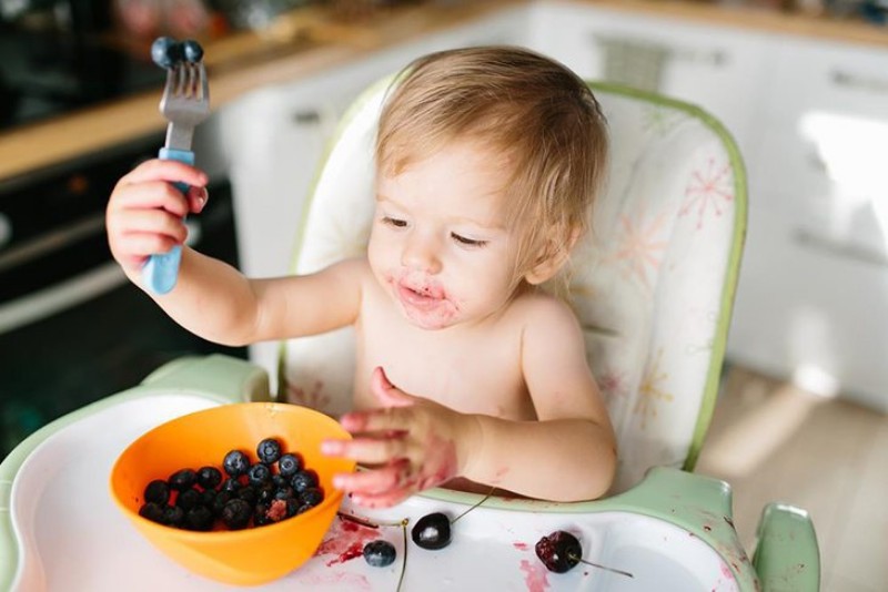 b2ap3 large baby eating blueberries for the breakfast
