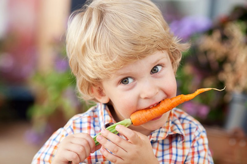 b2ap3 large Carrots For Kids 2