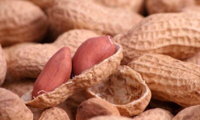 روش های درمان آلرژی نوزادان به مصرف بادام زمینی