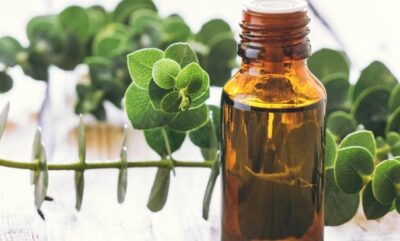 آیا استفاده از روغن اکالیپتوس برای نوزادان بی خطر است؟