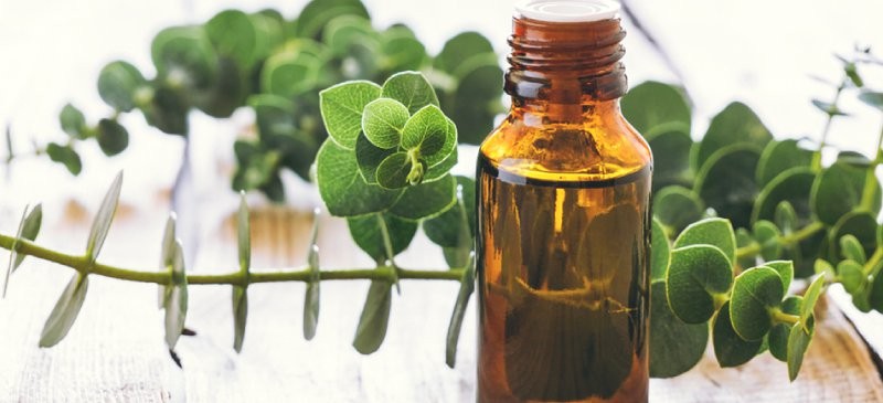آیا استفاده از روغن اکالیپتوس برای نوزادان بی خطر است؟