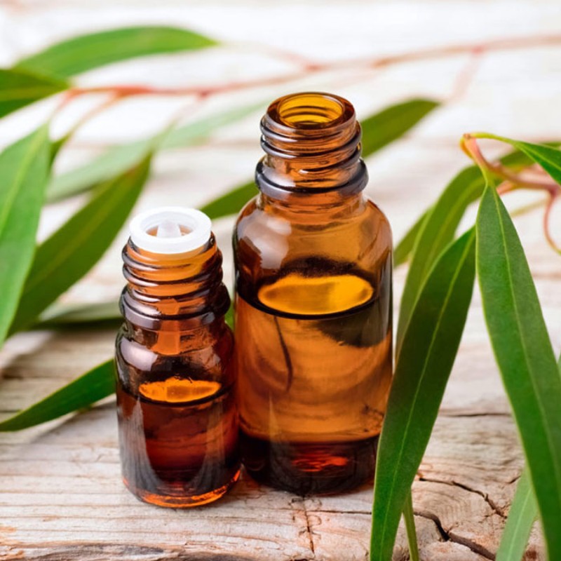 b2ap3 large the green leaf herbal eucalyptus oil
