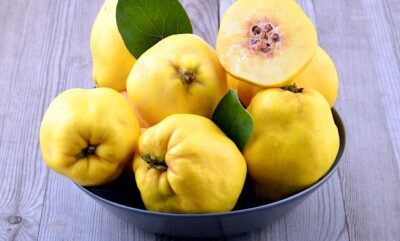 خوردن میوه به در بارداری | مفید یا مضر؟