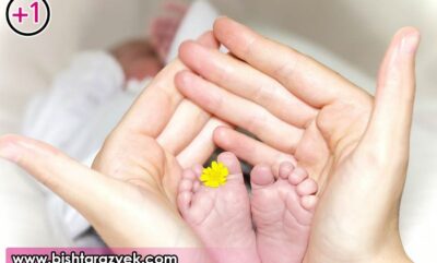 چرا هرگز نباید امیدمان را از دست بدهیم؟