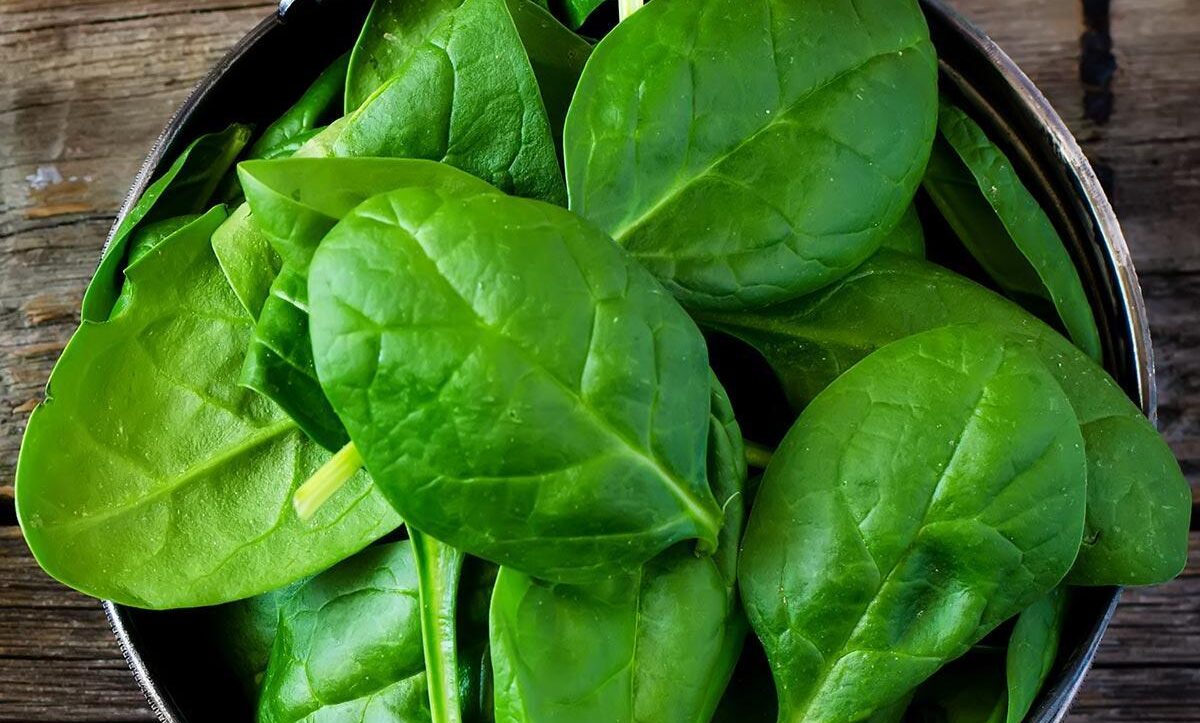 راهنمای کامل دادن اسفناج به نوزاد: سن مناسب، فواید و طرز تهیه