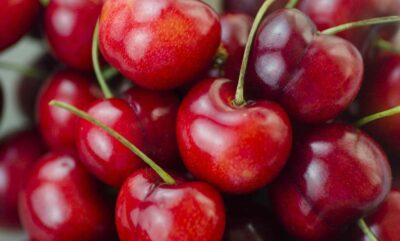 گیلاس برای قند خون و التهاب؛ بررسی خواص و فواید