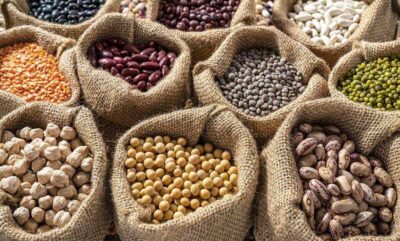 6 مورد از بهترین حبوبات برای سلامتی؛ سرشار از فیبر و پروتئین