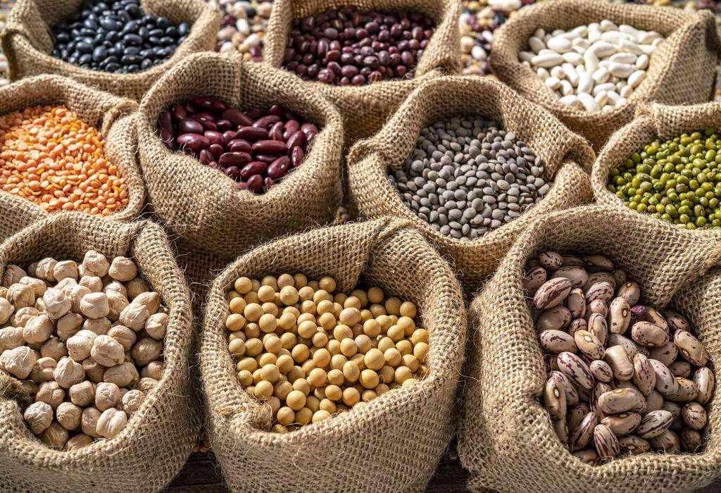 6 مورد از بهترین حبوبات برای سلامتی؛ سرشار از فیبر و پروتئین