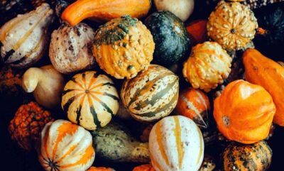 فواید کدو حلوایی؛ 10 نوع زمستانی سرشار از ویتامین و مواد مغذی