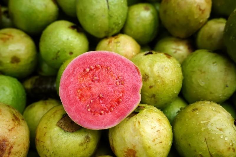 منابع غنی ویتامین سی گواوا